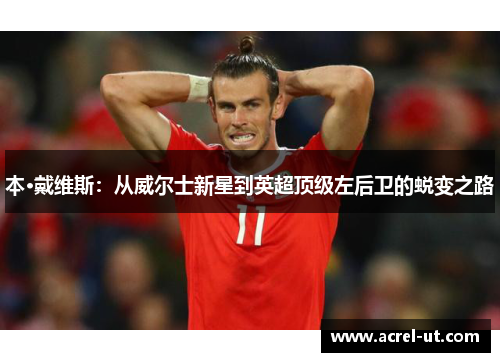本·戴维斯：从威尔士新星到英超顶级左后卫的蜕变之路