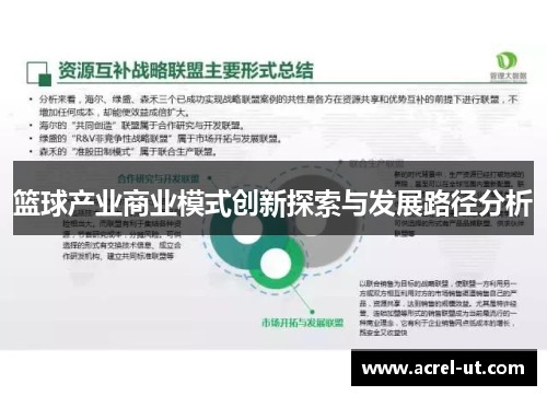 篮球产业商业模式创新探索与发展路径分析