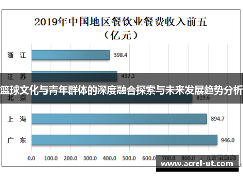 篮球文化与青年群体的深度融合探索与未来发展趋势分析
