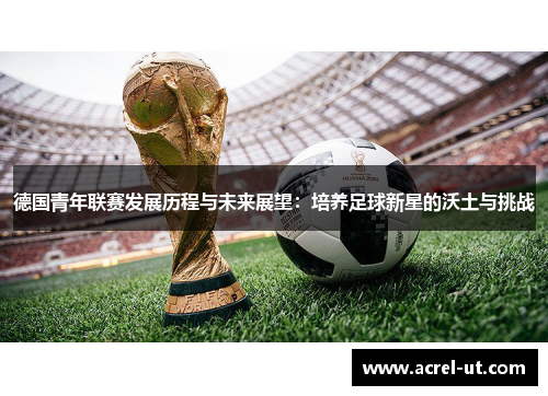 德国青年联赛发展历程与未来展望：培养足球新星的沃土与挑战