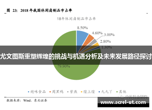 尤文图斯重塑辉煌的挑战与机遇分析及未来发展路径探讨