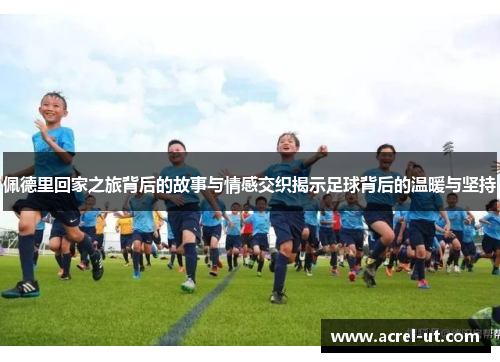 佩德里回家之旅背后的故事与情感交织揭示足球背后的温暖与坚持