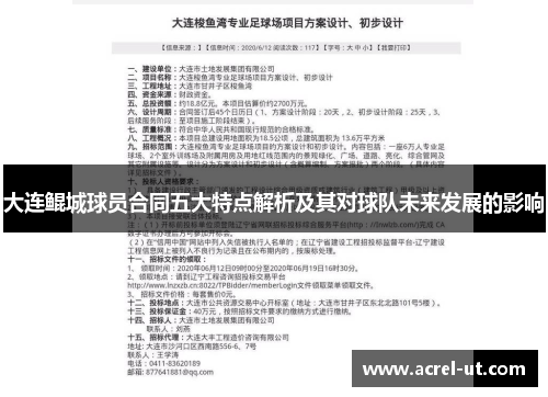 大连鲲城球员合同五大特点解析及其对球队未来发展的影响